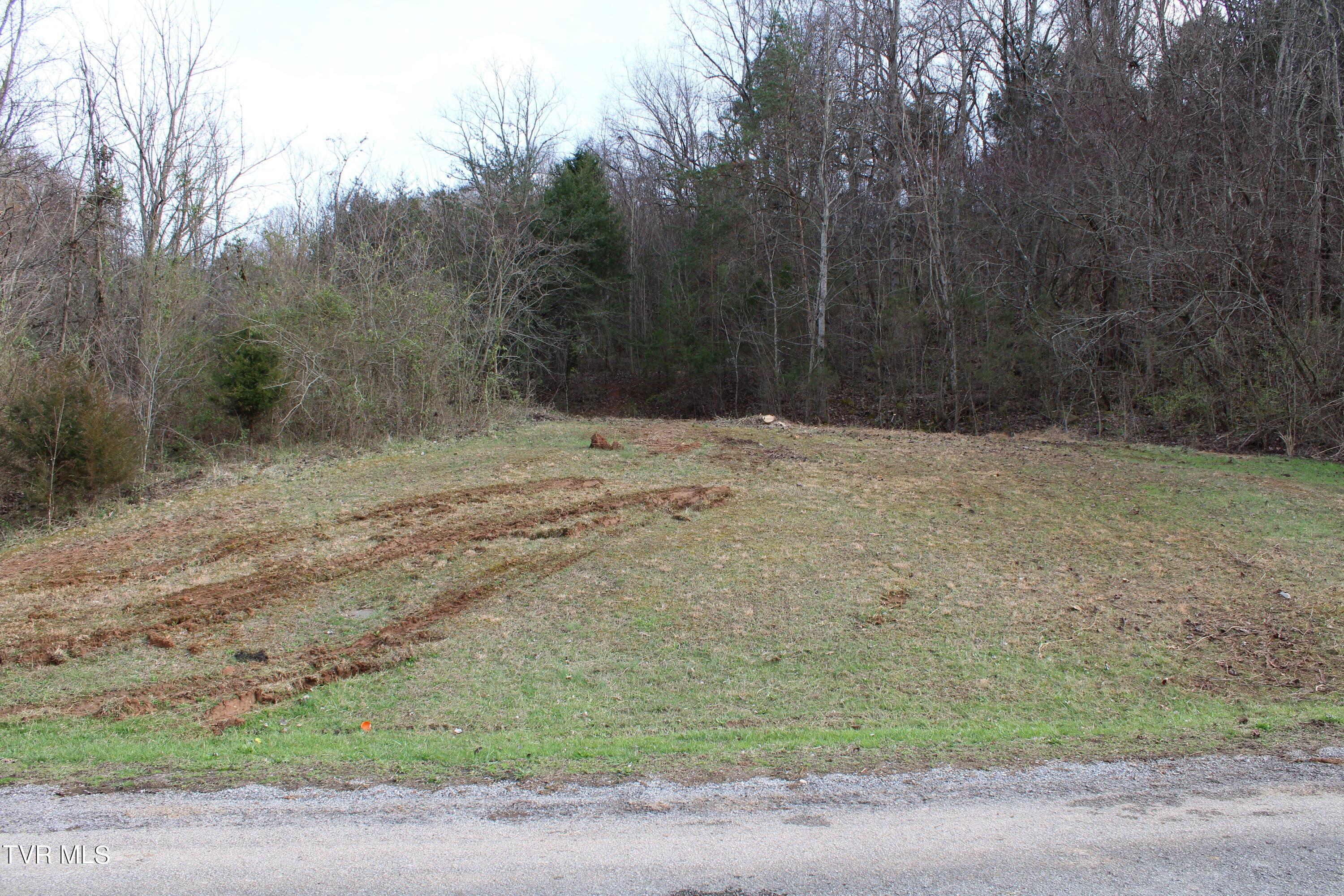 258 Old Mine Road, Unit 6 Greeneville, TN 37745 - Photo 3 of 11 IMG_2193