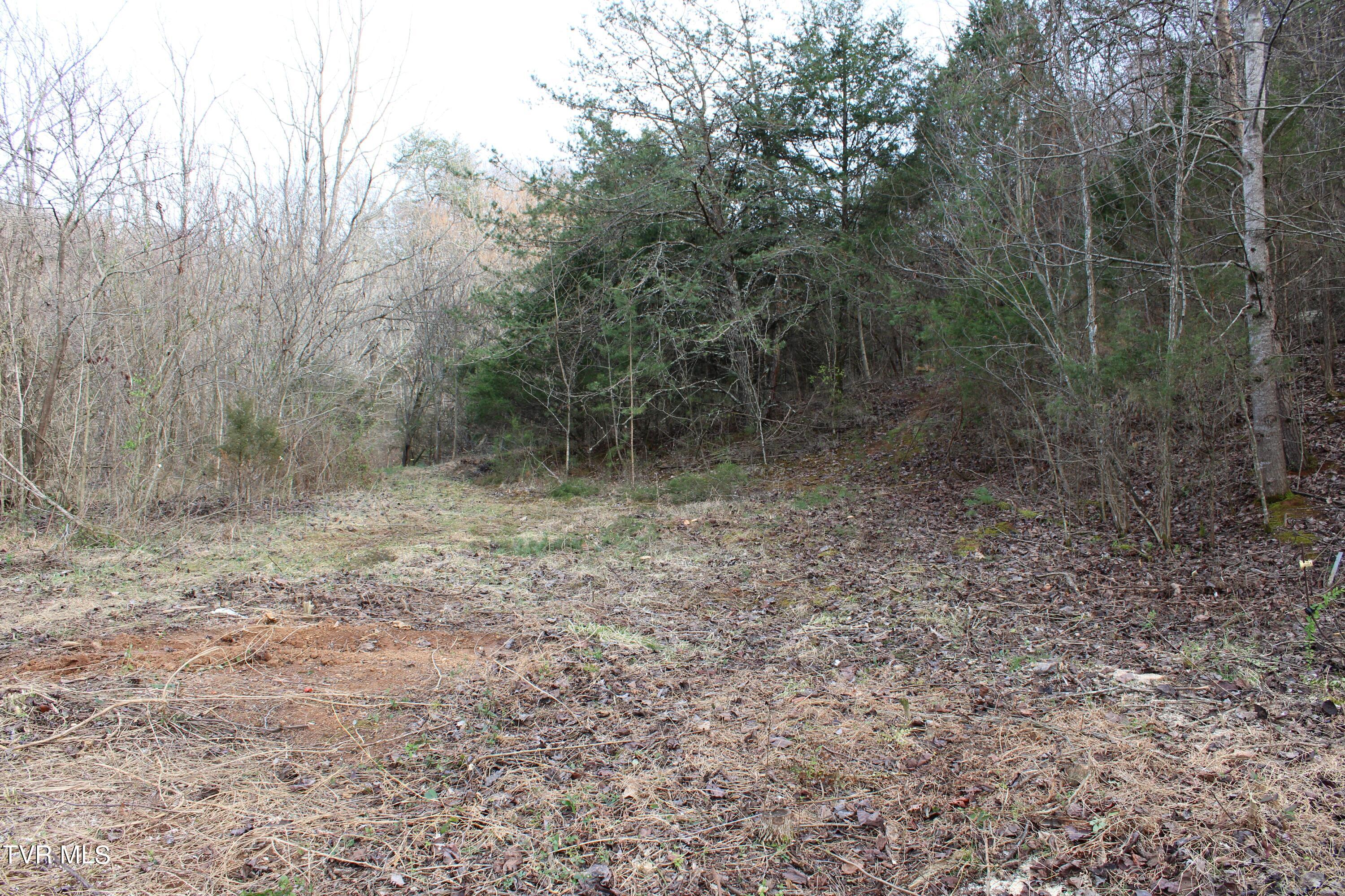 258 Old Mine Road, Unit 6 Greeneville, TN 37745 - Photo 5 of 11 IMG_2196