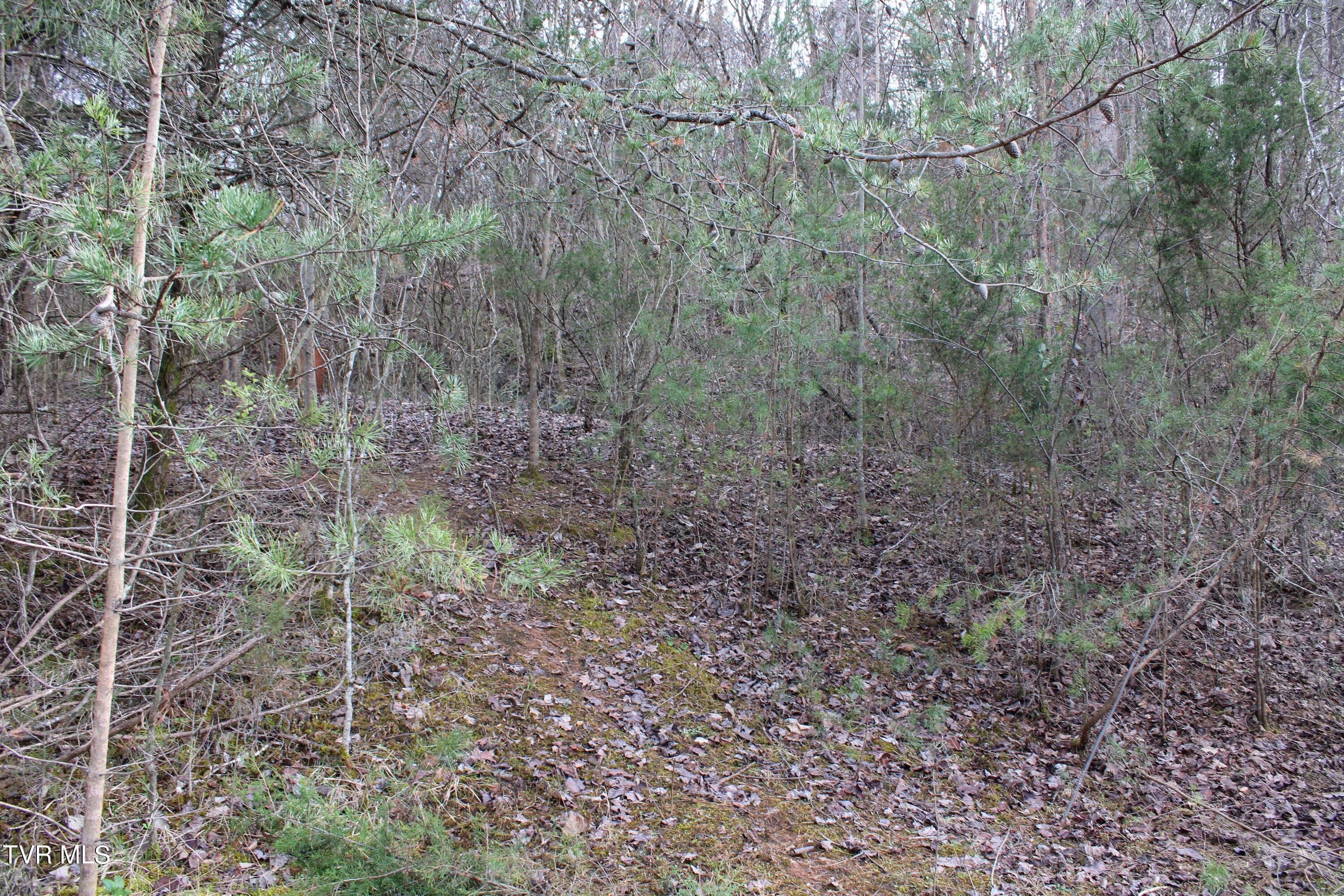 258 Old Mine Road, Unit 6 Greeneville, TN 37745 - Photo 8 of 11 IMG_2201
