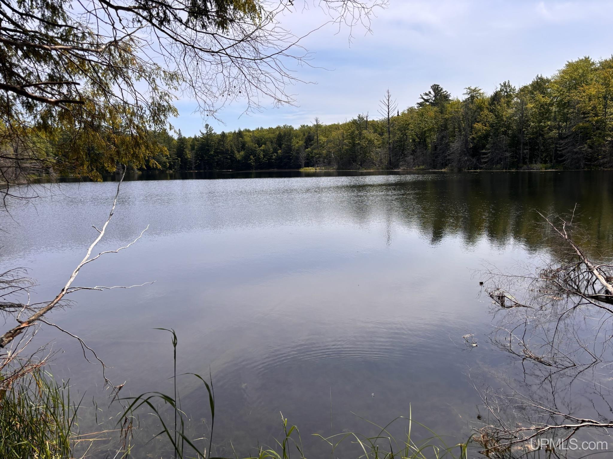 Horseshoe Lake Road Toivola, MI 49965 - Photo 33 of 70 Gallery Image 33