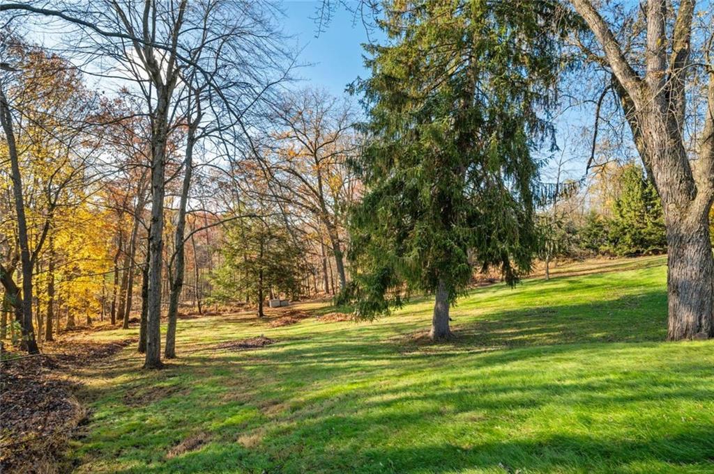 9767 Bellcrest Road Pittsburgh, PA 15237 - Photo 6 of 25 a view of yard with trees