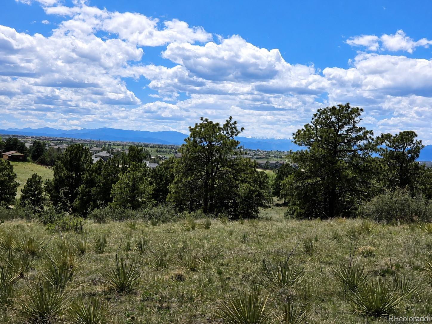 Forest Rim Road Aurora, CO 80016 - Photo 9 of 10