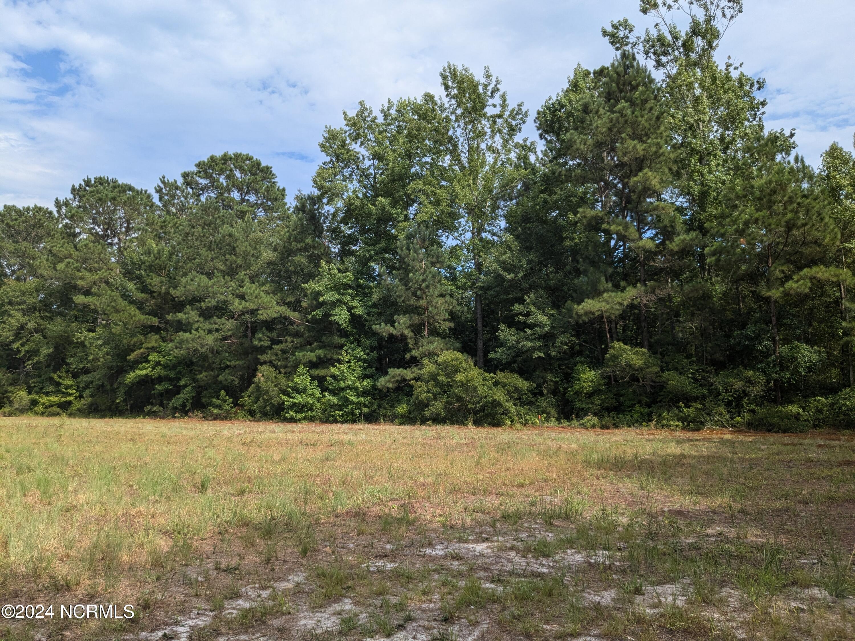 0 Montague Road Currie, NC 28435 - Photo 5 of 28 PXL_20240706_201306900