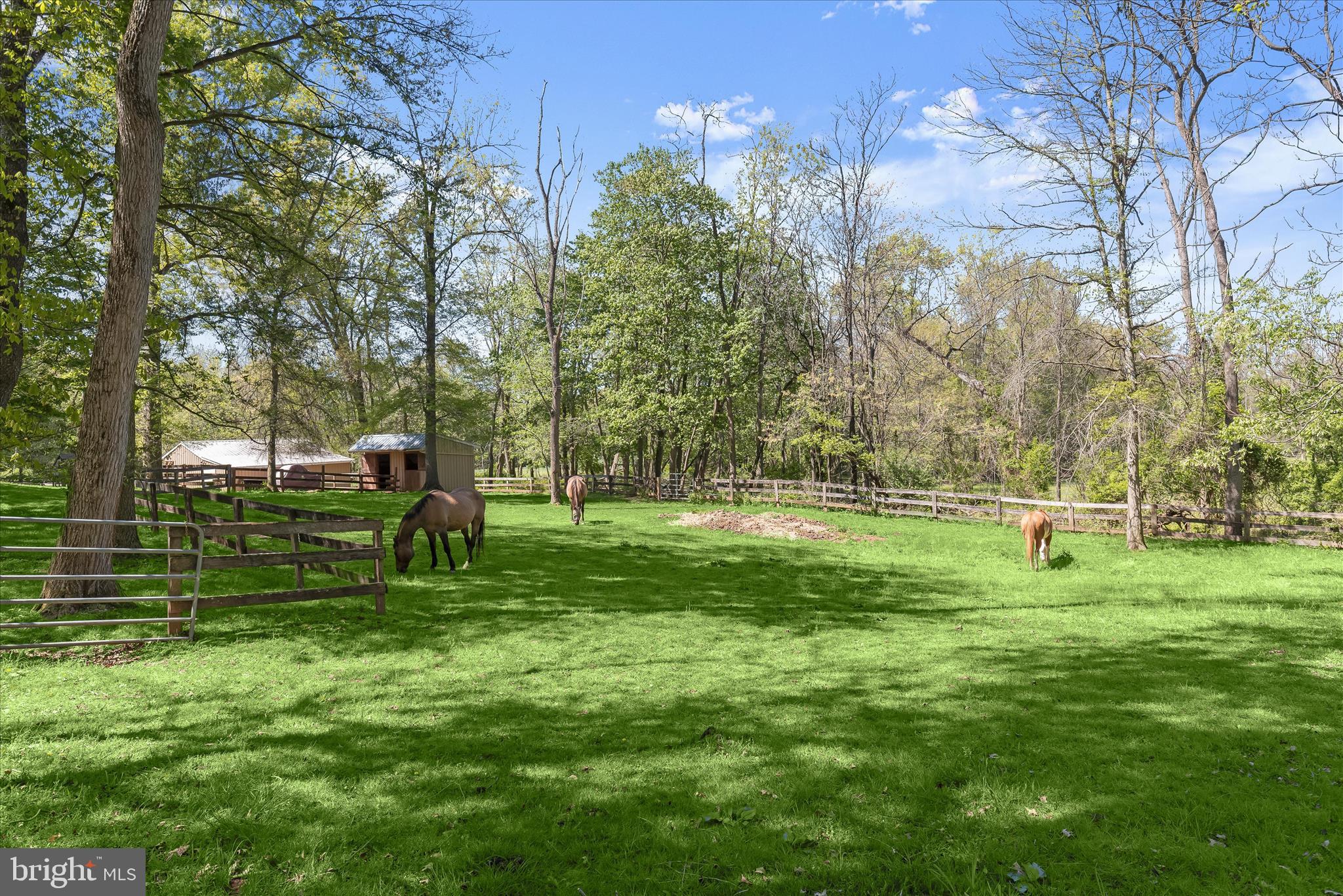 3346 Kump Station Road Taneytown, MD 21787 - Photo 49 of 73 Pasture