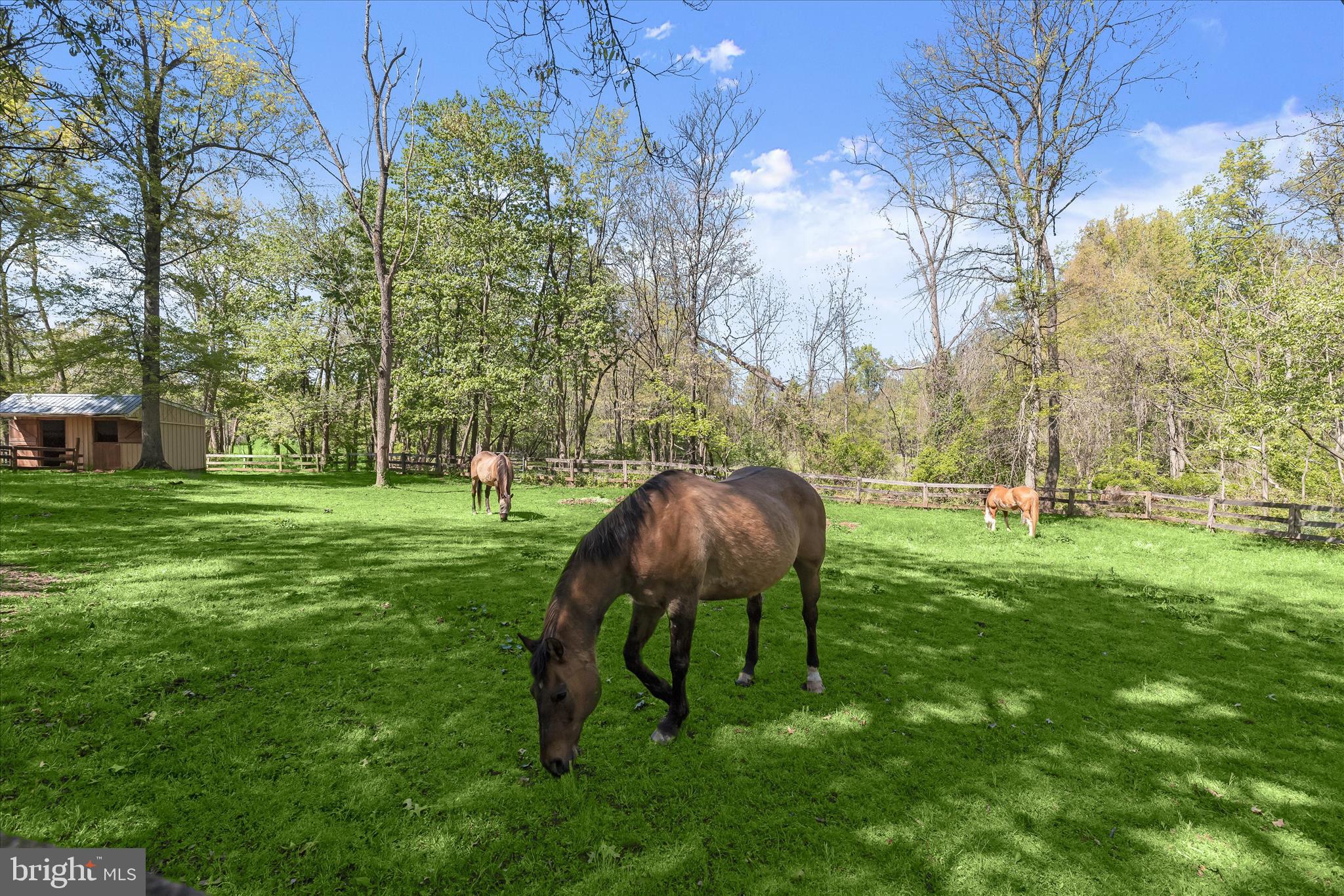 3346 Kump Station Road Taneytown, MD 21787 - Photo 50 of 73 Pasture