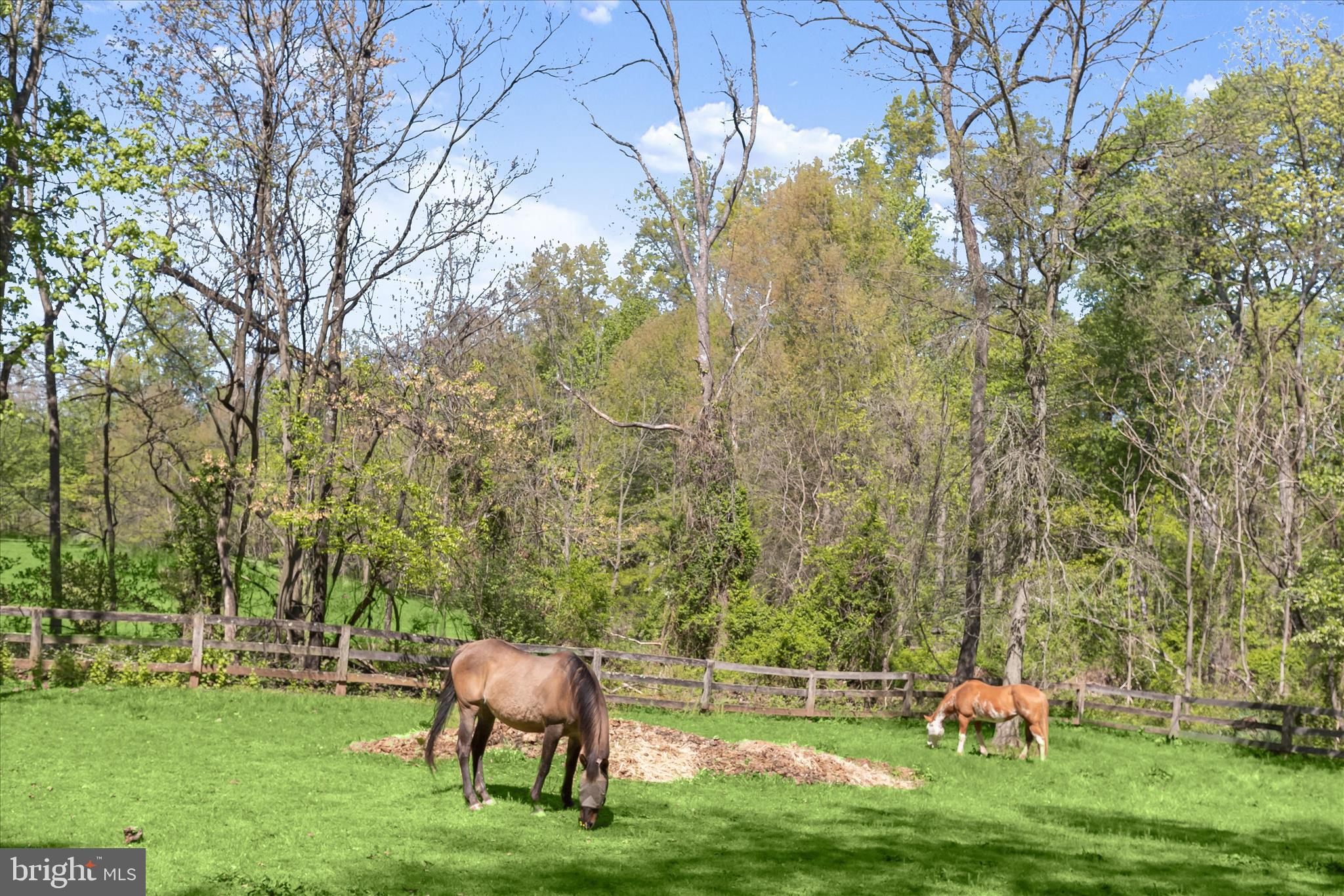 3346 Kump Station Road Taneytown, MD 21787 - Photo 51 of 73 Pasture