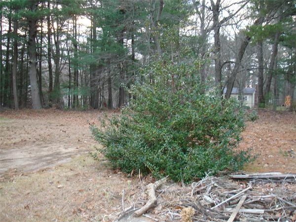 19 Kersey Road Foxboro, MA 02035 - Photo 11 of 19 Gallery Image 11