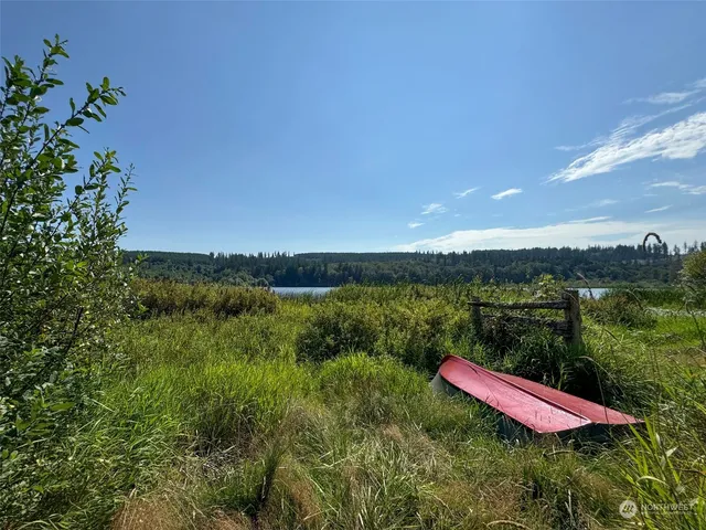 a view of a lush green space with a lake view