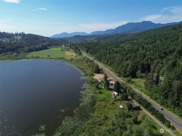 a view of a city with a forest