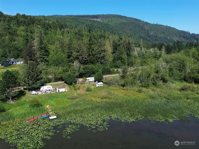 a view of a lush green hillside and trees