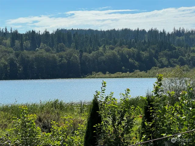 a view of a lake with a yard and large trees