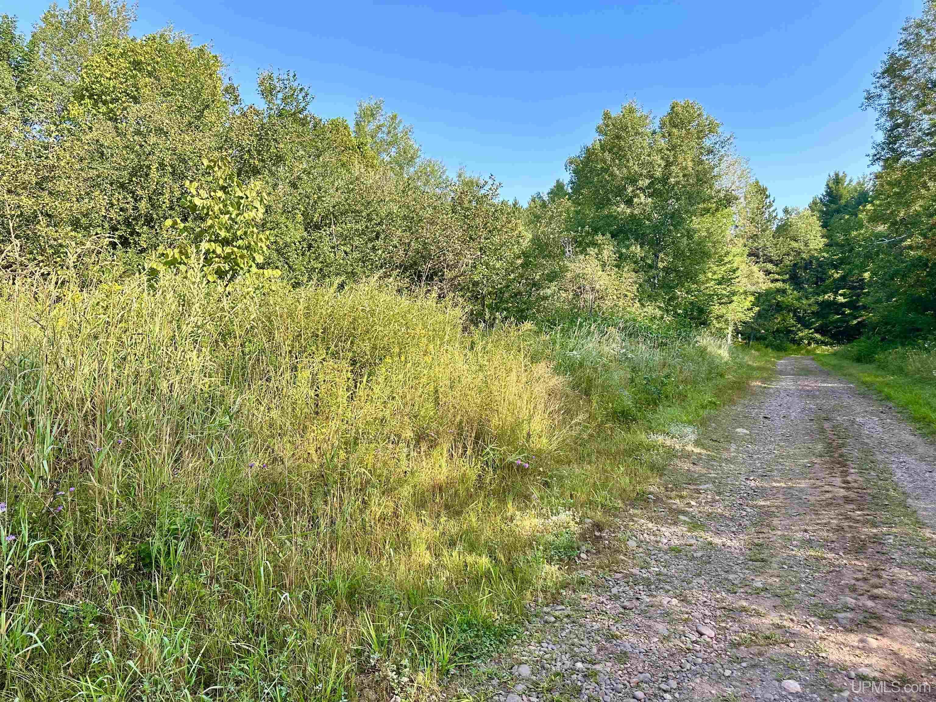 Tbd Crestview Road Ironwood, MI 49938 - Photo 3 of 49