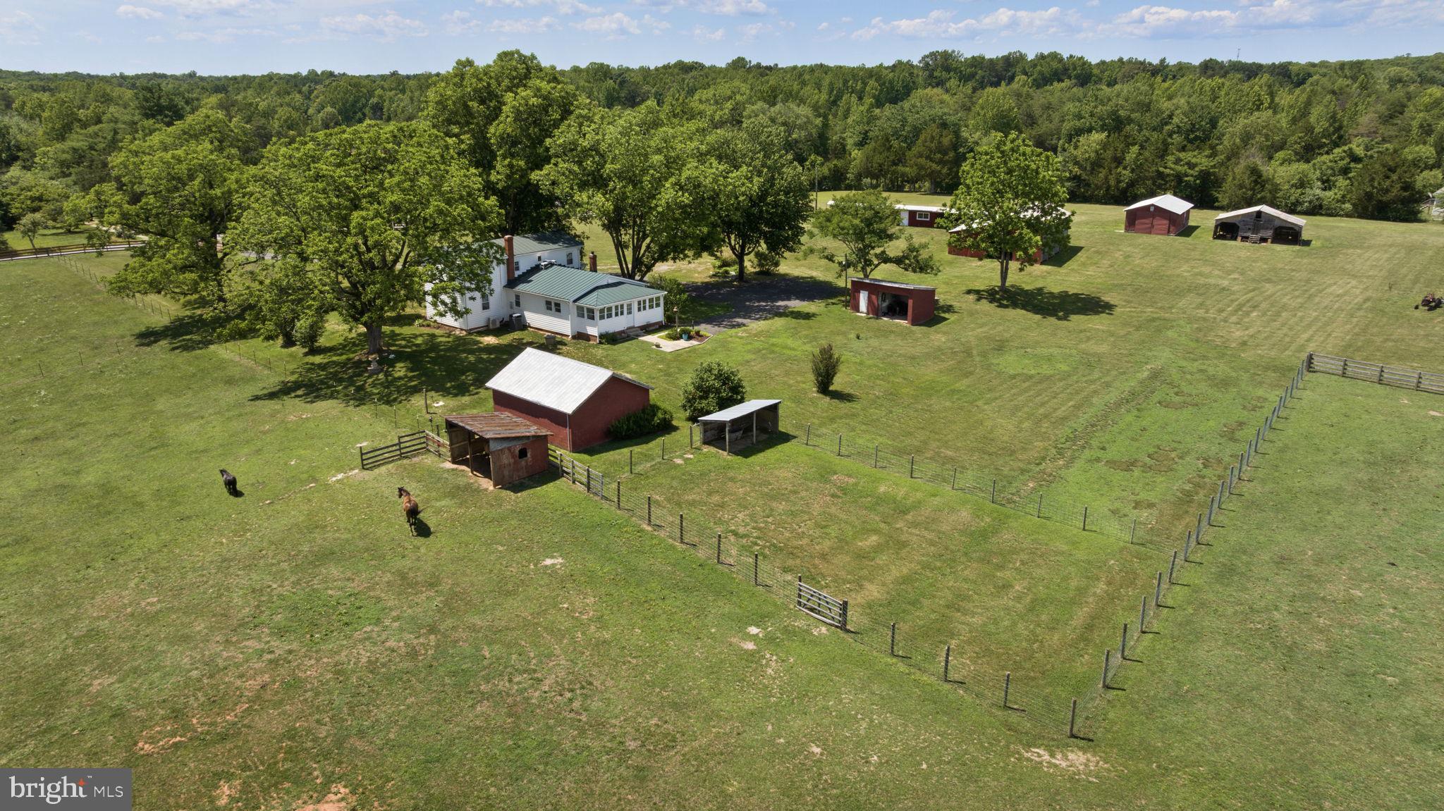 1815 Country Road Beaverdam, VA 23015 - Photo 64 of 104 Barn and pasture views