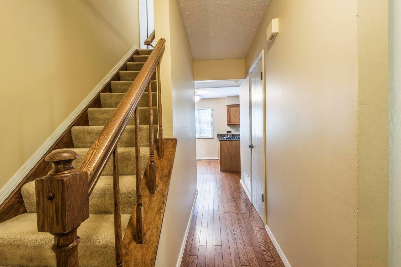 8241 Longhorn Road Powell, OH 43065 - Photo 4 of 37 Gallery Image 4