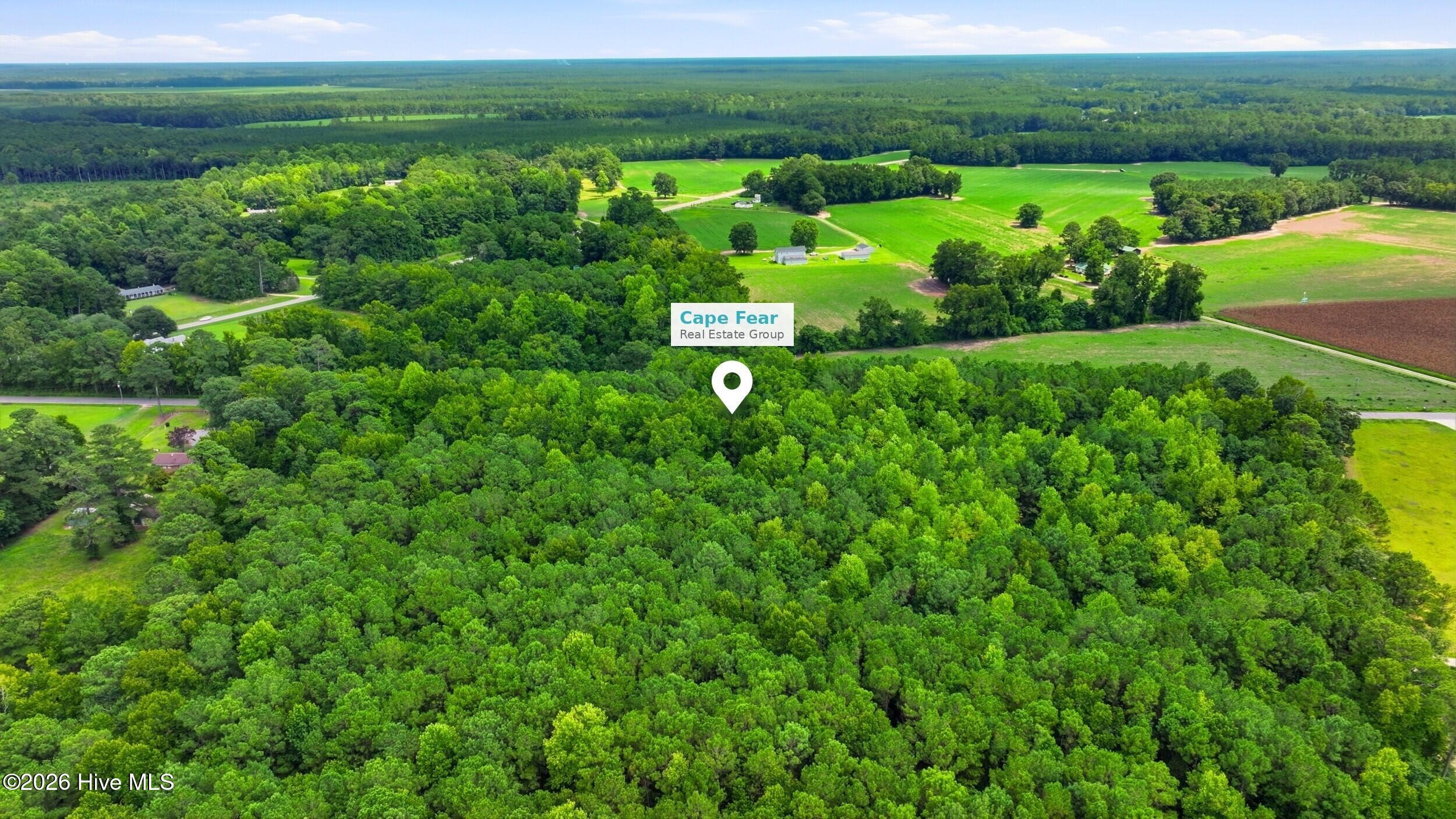 Lot 2 Point Caswell Road Willard, NC 28478 - Photo 3 of 5 Gallery Image 3