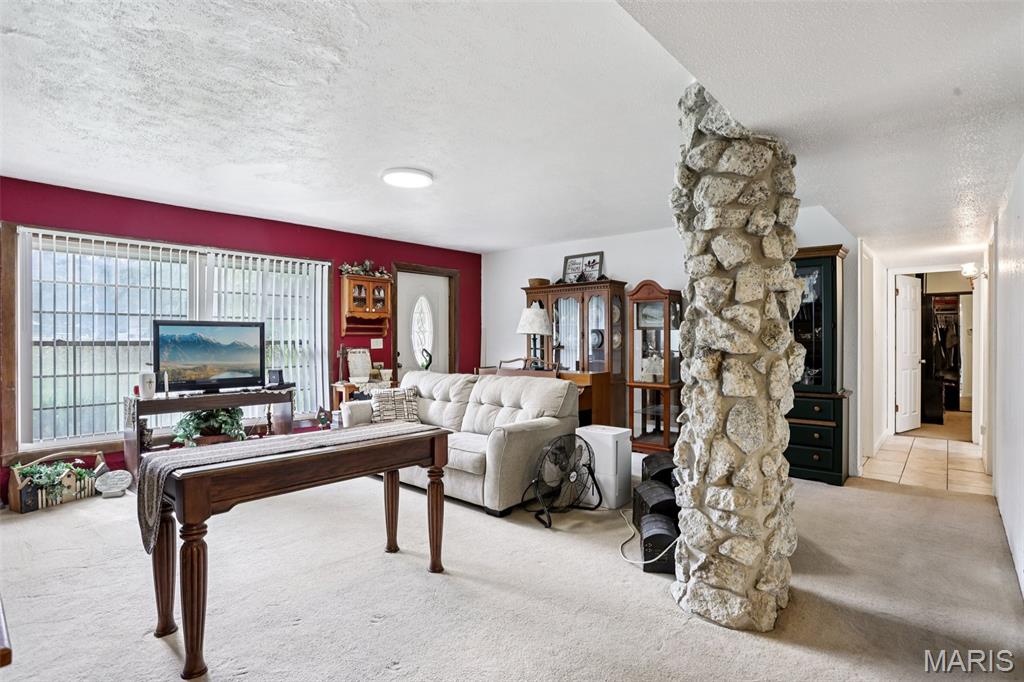 141 Lakecrest Lane Hillsboro, IL 62049 - Photo 9 of 32