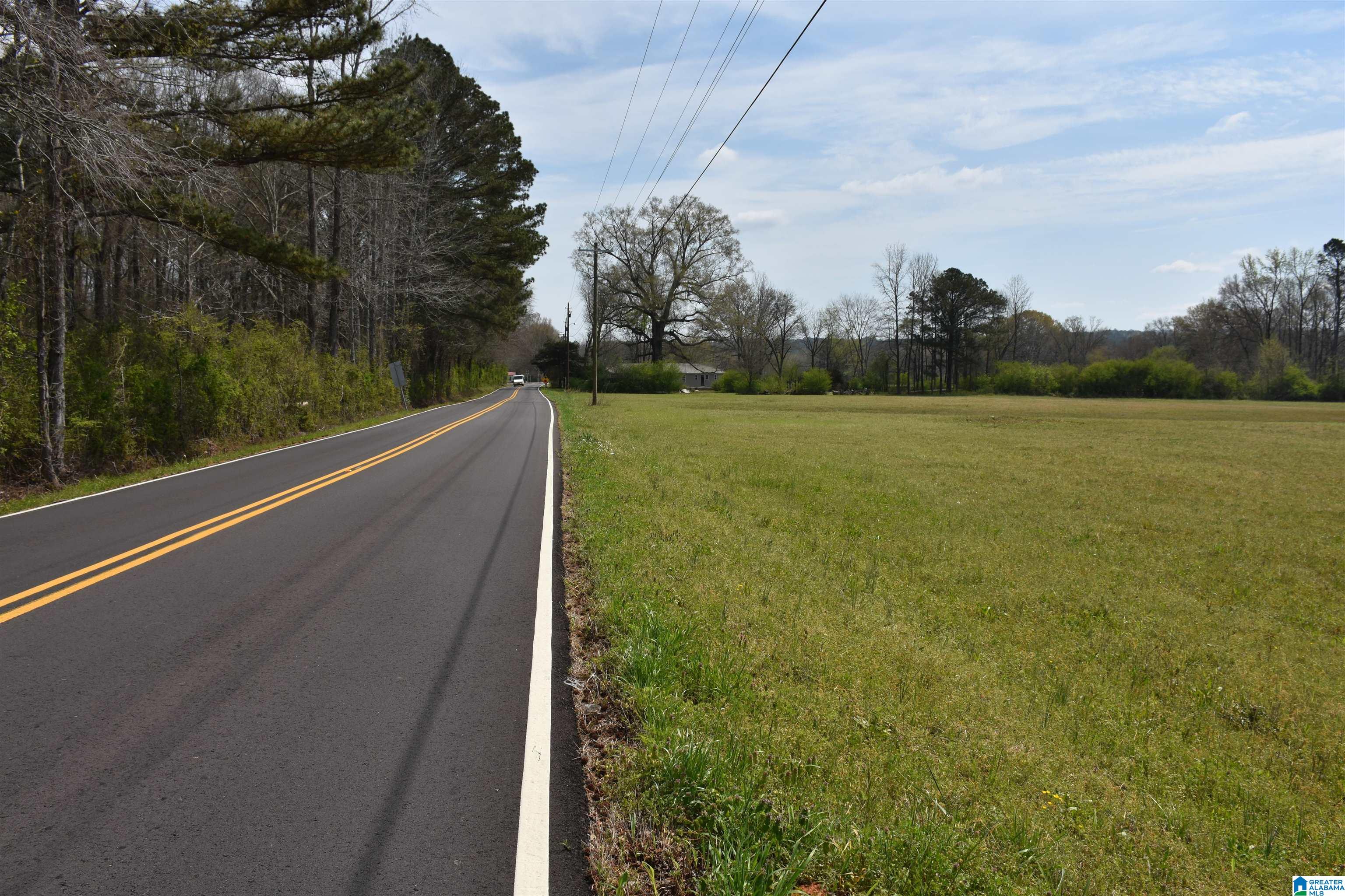 2323 Motes Road Sylacauga, AL 35150 - Photo 2 of 6