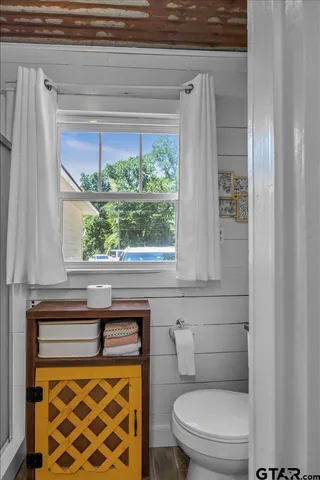 a bathroom with a toilet a sink and a window