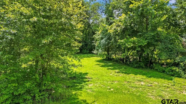 a view of yard with green space