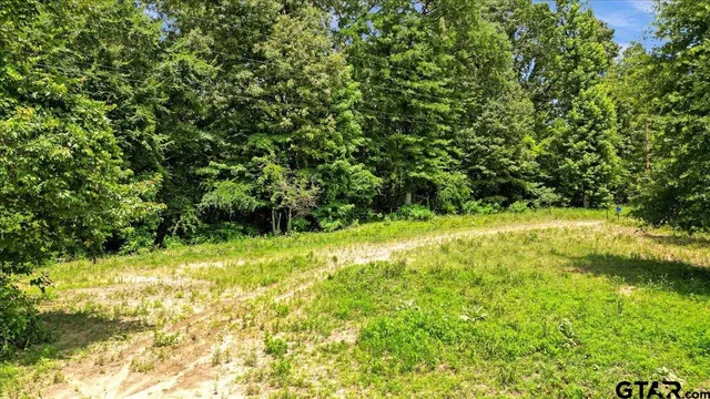 a view of yard with green space