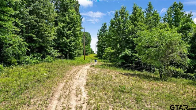 a view of backyard with green space