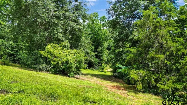 a view of a yard with plants and a trees