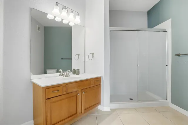 a bathroom with a sink mirror and shower