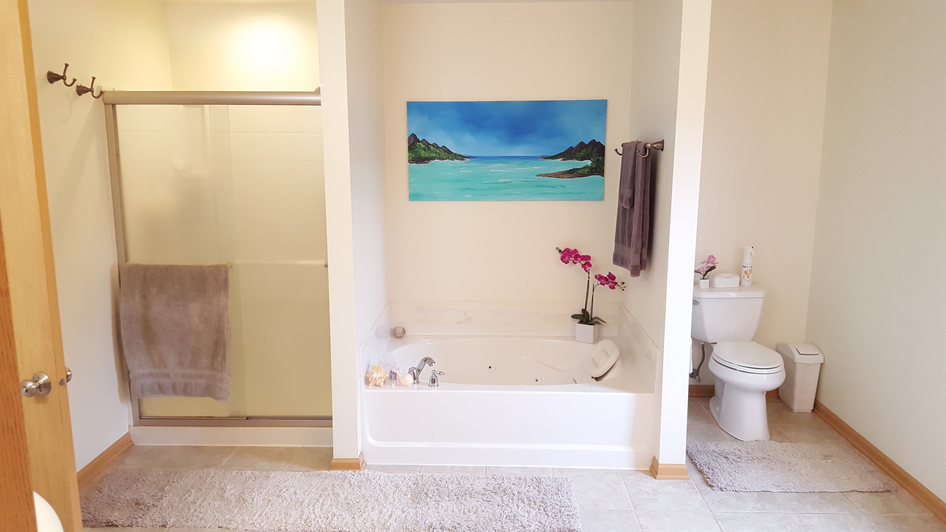 976 Griffith Avenue Elburn, IL 60119 - Photo 18 of 33