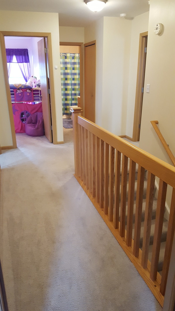 976 Griffith Avenue Elburn, IL 60119 - Photo 24 of 33