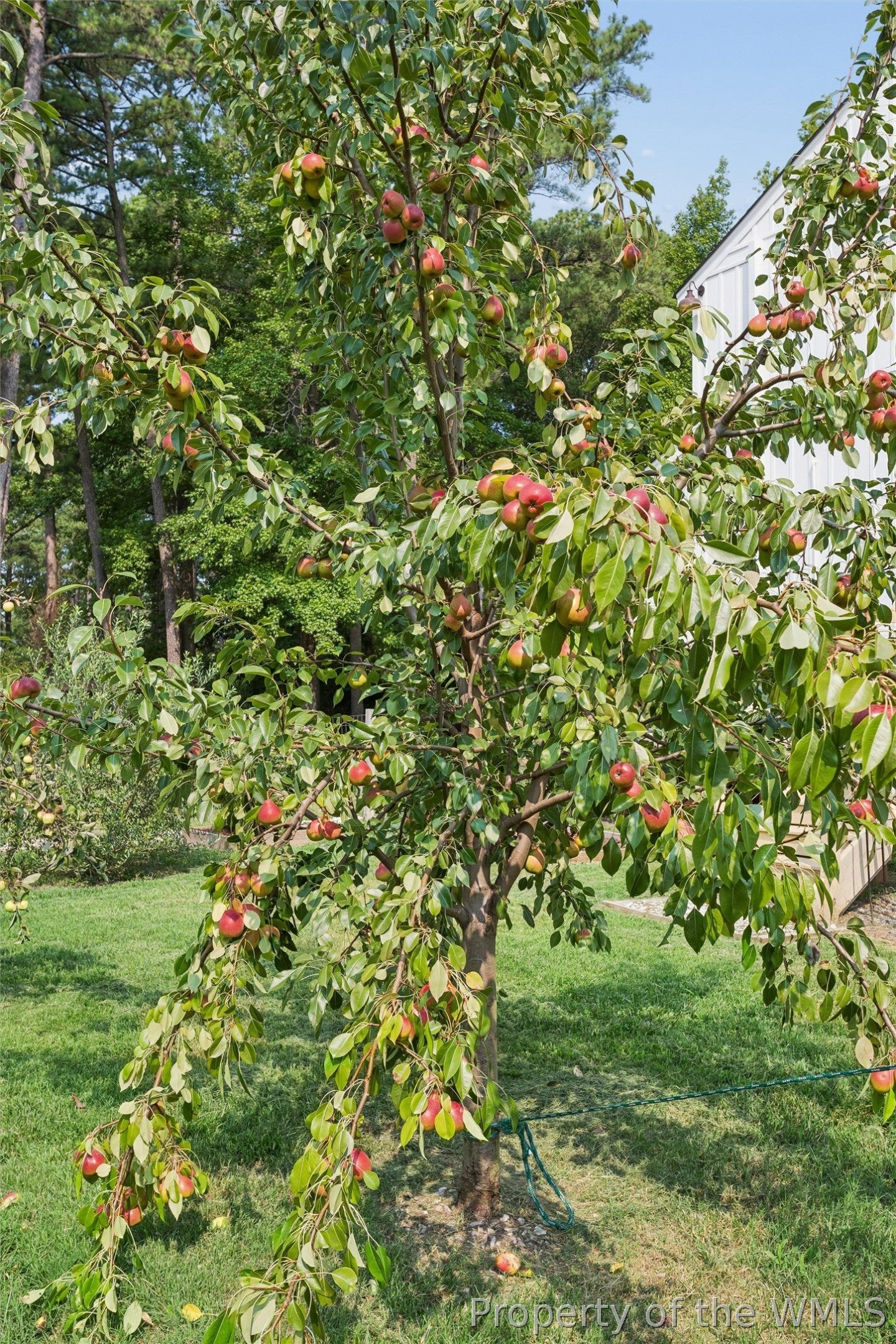 4203 Seaford Road Seaford, VA 23696 - Photo 72 of 87 Gallery Image 72