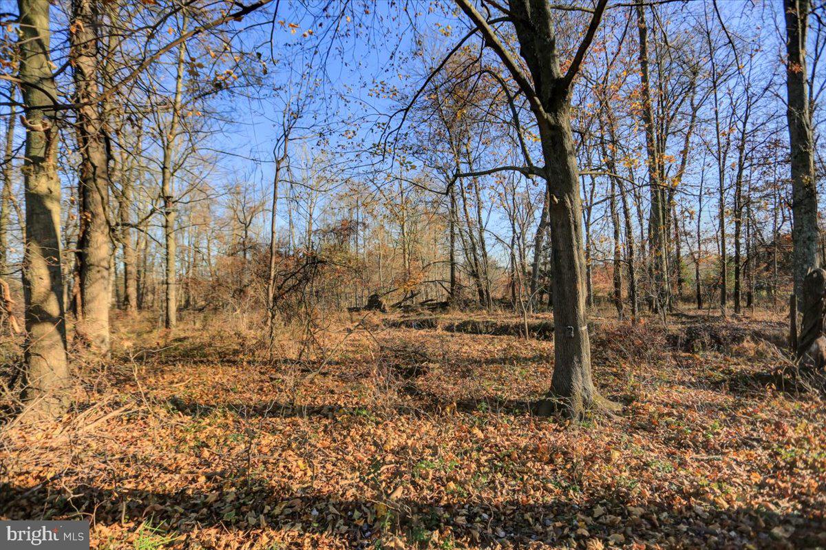 Lot 2 Lewisberry Road Lewisberry, PA 17339 - Photo 14 of 29