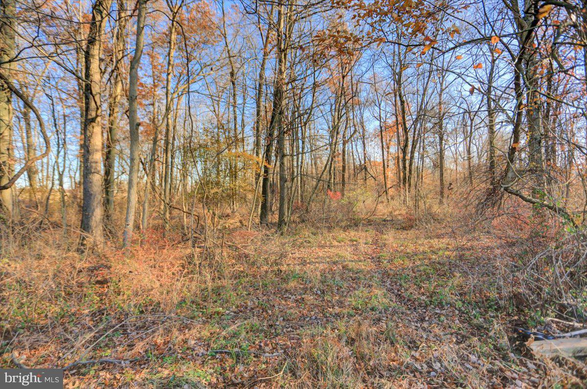 Lot 2 Lewisberry Road Lewisberry, PA 17339 - Photo 19 of 29