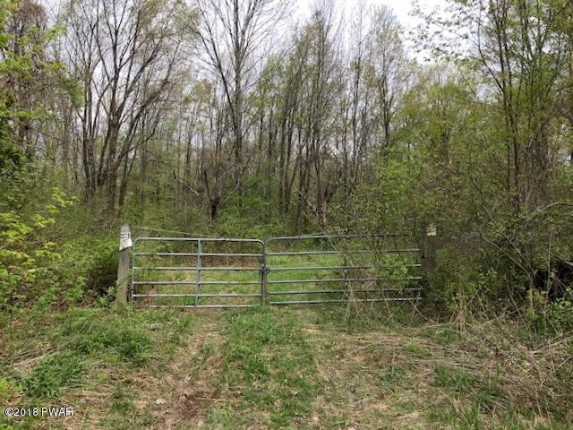 143 White Birch Road Moscow, PA 18444 - Photo 2 of 11
