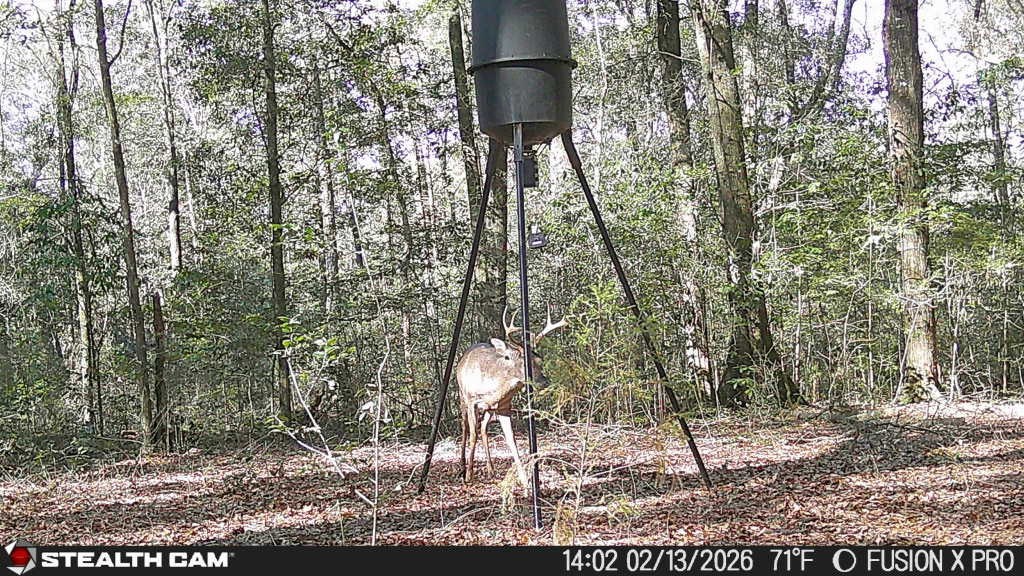 836 Campbell Road Hartford, AL 36344 - Photo 40 of 41