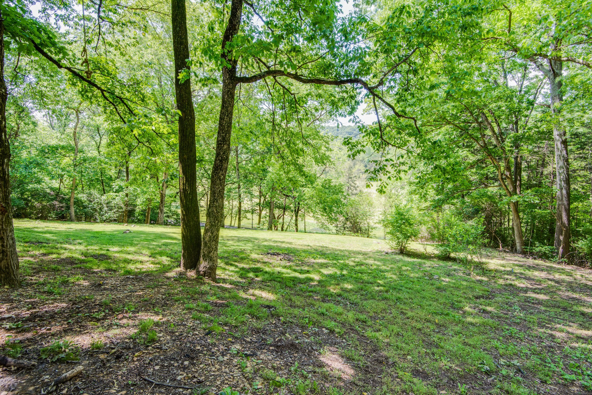 2409 North Berrys Chapel Road Franklin, TN 37069 - Photo 46 of 50 Gallery Image 46