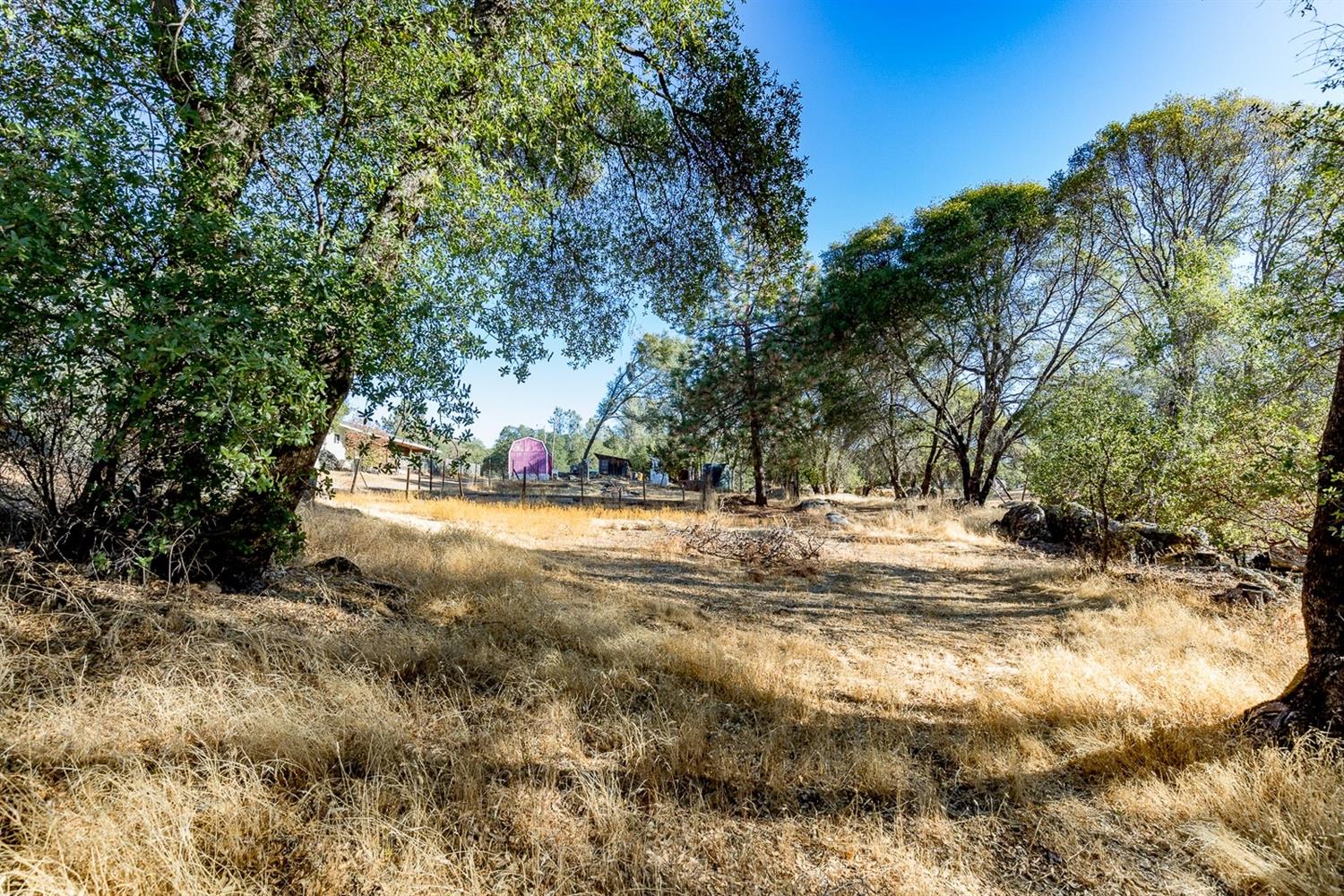 5304 Darrah Road Mariposa, CA 95338 - Photo 54 of 93 Gallery Image 54