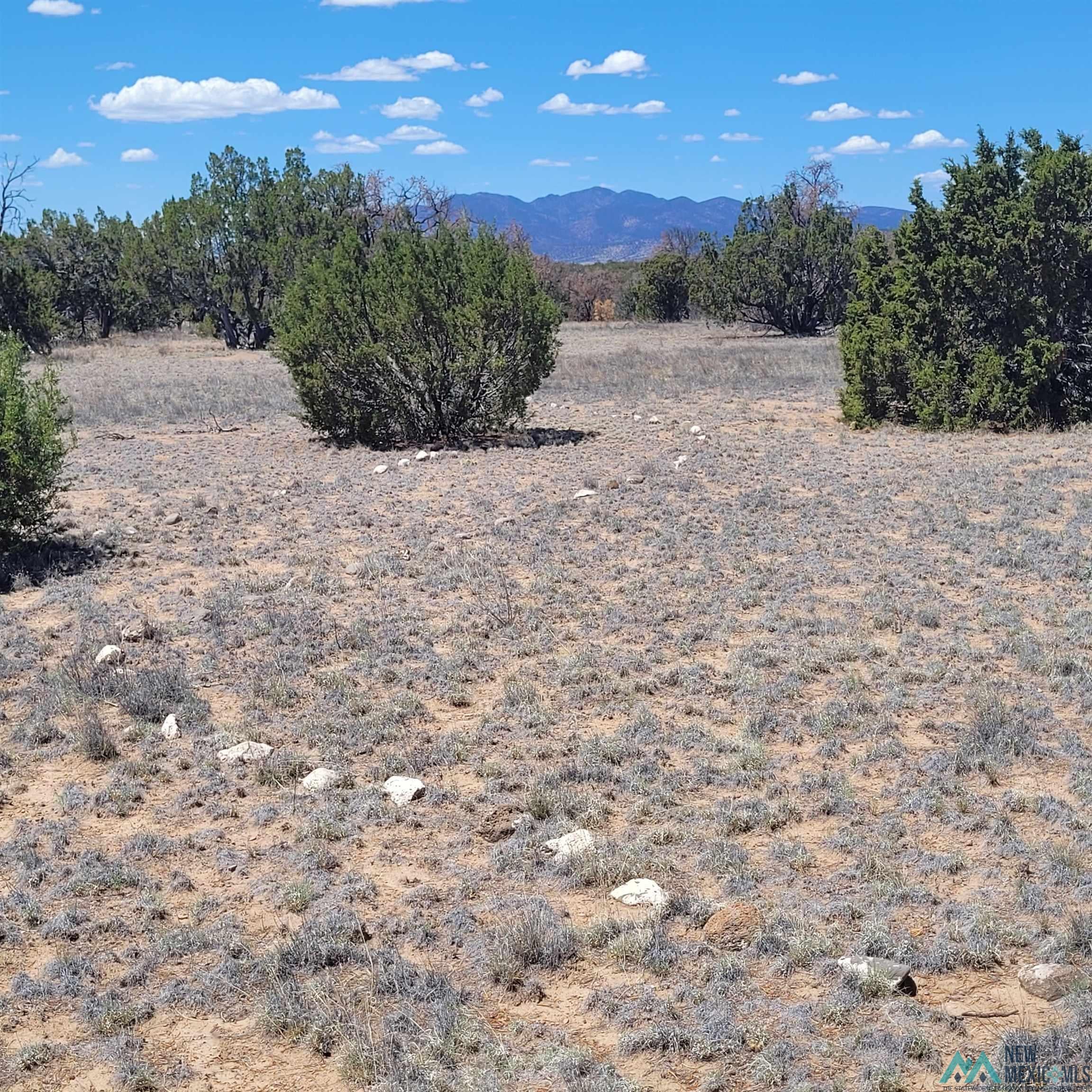 47 Southern Trail, Unit 48 47 Datil, NM 87821 - Photo 20 of 46 Gallery Image 20