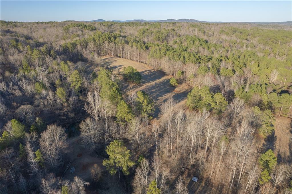 2000 Dabbs Bridge Road Acworth, GA 30101 - Photo 3 of 14 a view of a forest with a mountain and trees