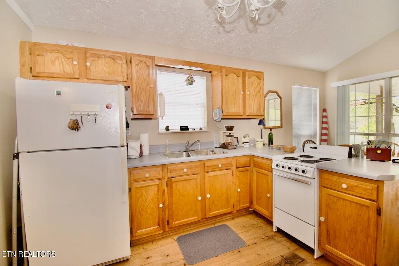 4 Carnes Road Townsend, TN 37882 - Photo 11 of 26 Gallery Image 11