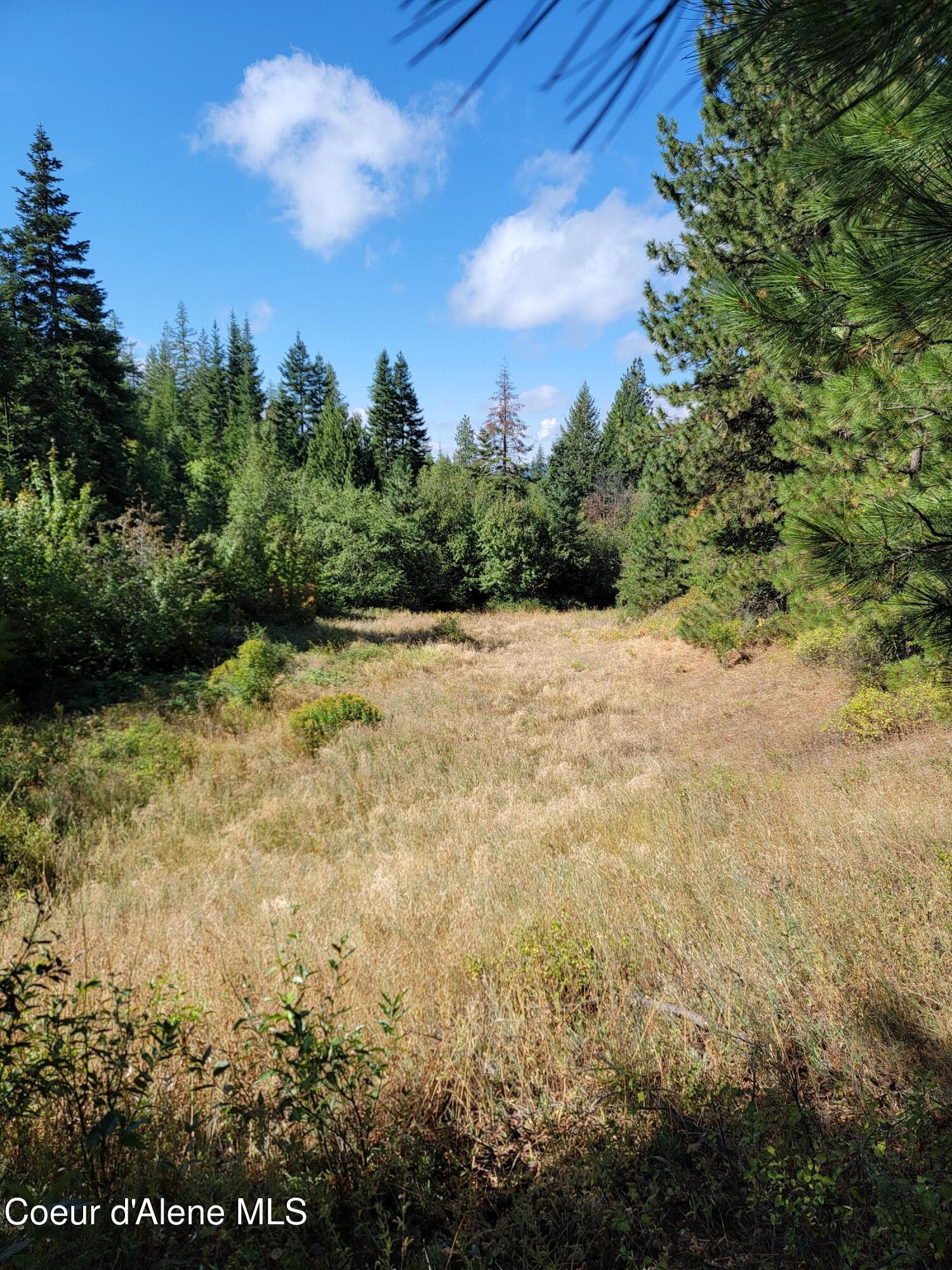 Nka Nka Road Harrison, ID 83833 - Photo 12 of 12 12