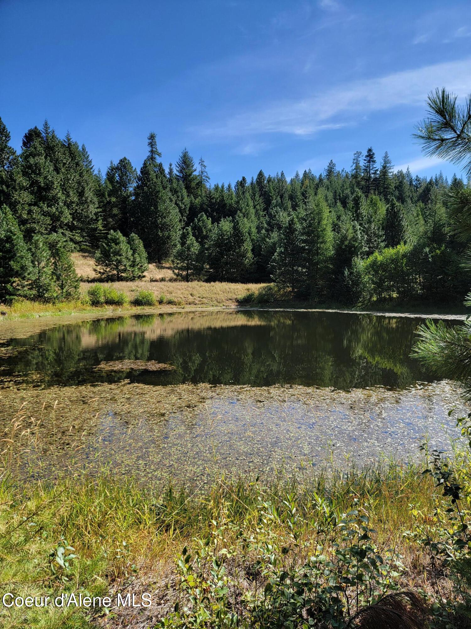 Nka Nka Road Harrison, ID 83833 - Photo 4 of 12 4