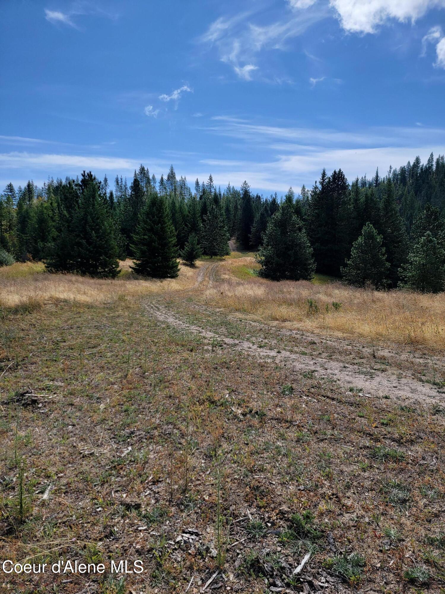 Nka Nka Road Harrison, ID 83833 - Photo 6 of 12 6