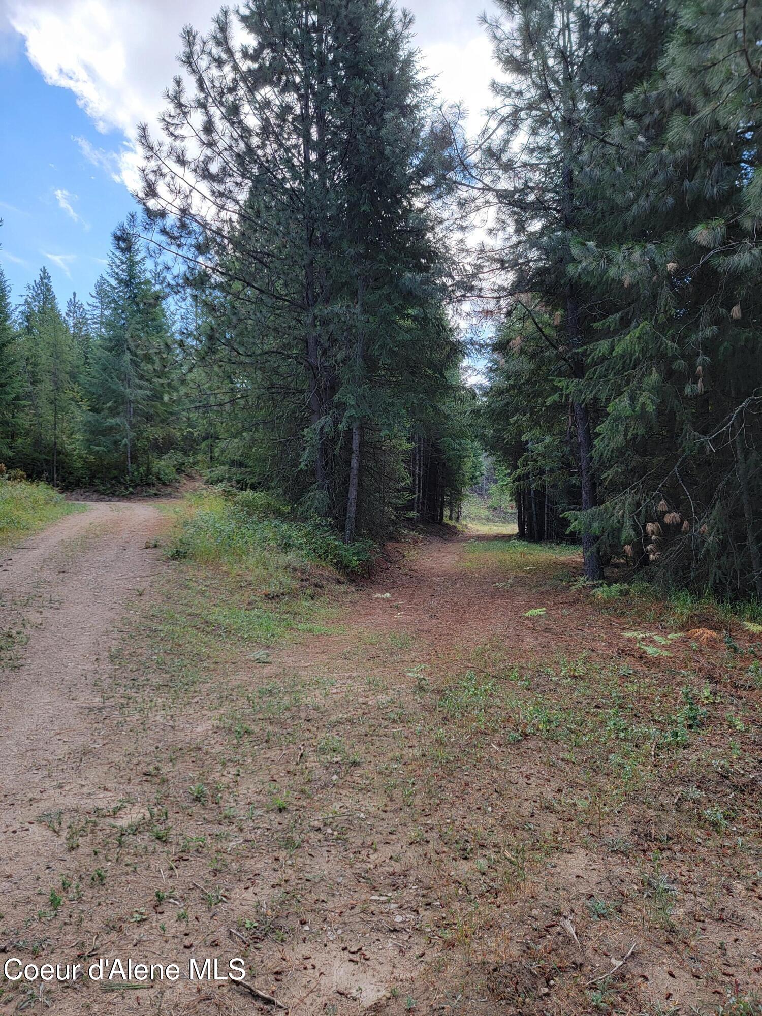 Nka Nka Road Harrison, ID 83833 - Photo 7 of 12 7