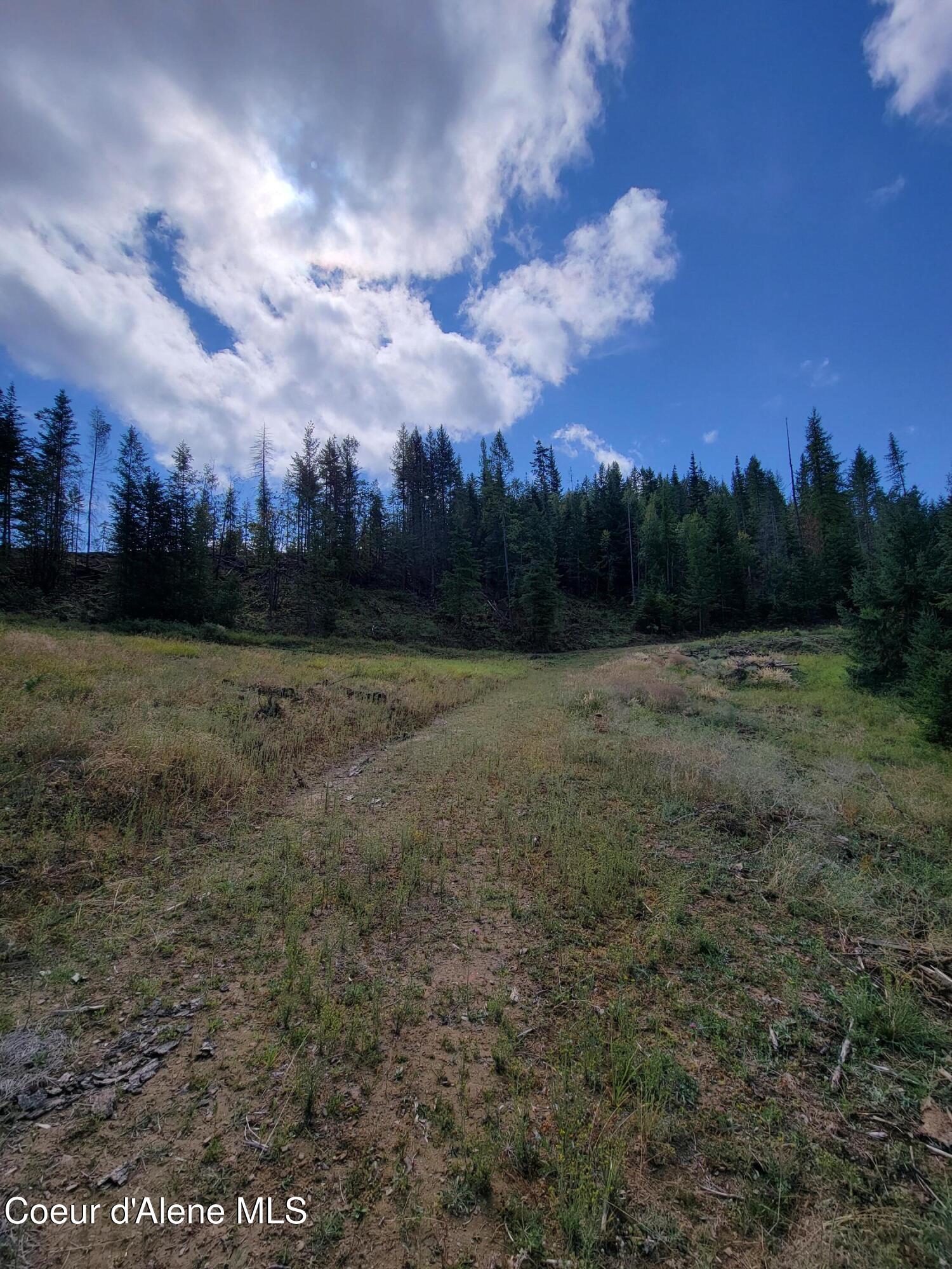 Nka Nka Road Harrison, ID 83833 - Photo 8 of 12 8