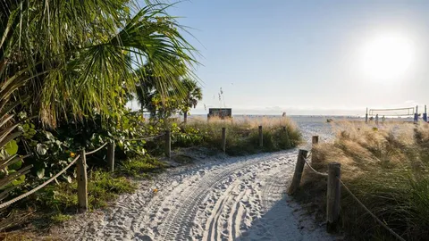 a bathroom with a toilet a sink a mirror and vanity
