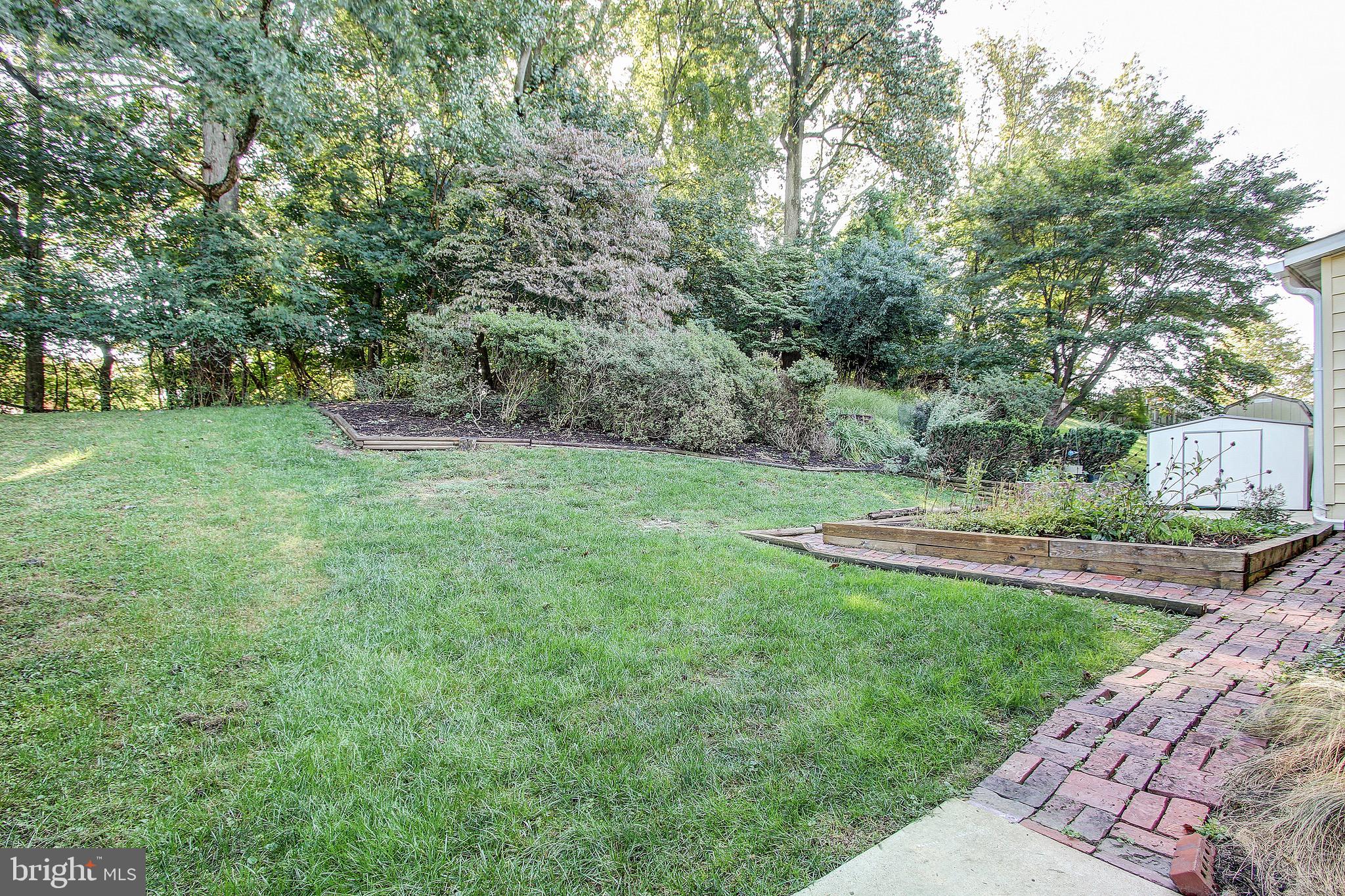 12713 Barbara Road Wheaton, MD 20906 - Photo 30 of 32 Secluded Yard Backs to Thickly Wooded Land.