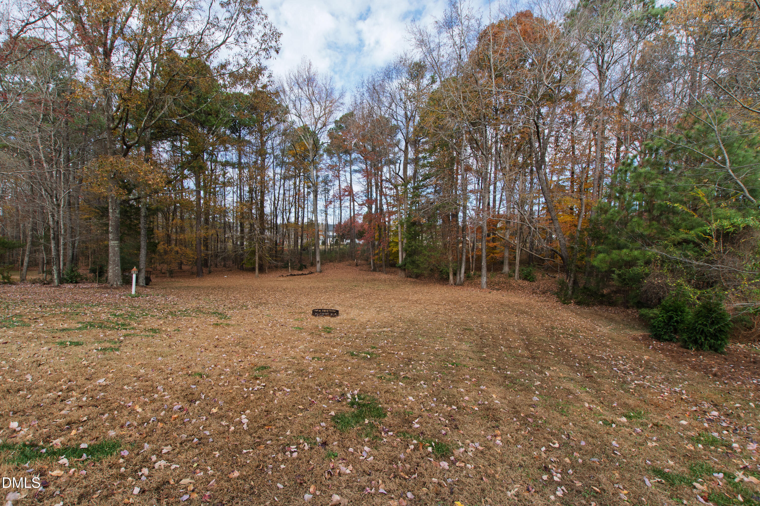 2405 Welsh Tavern Way Wake Forest, NC 27587 - Photo 52 of 58 a backyard of a house with lots of green space
