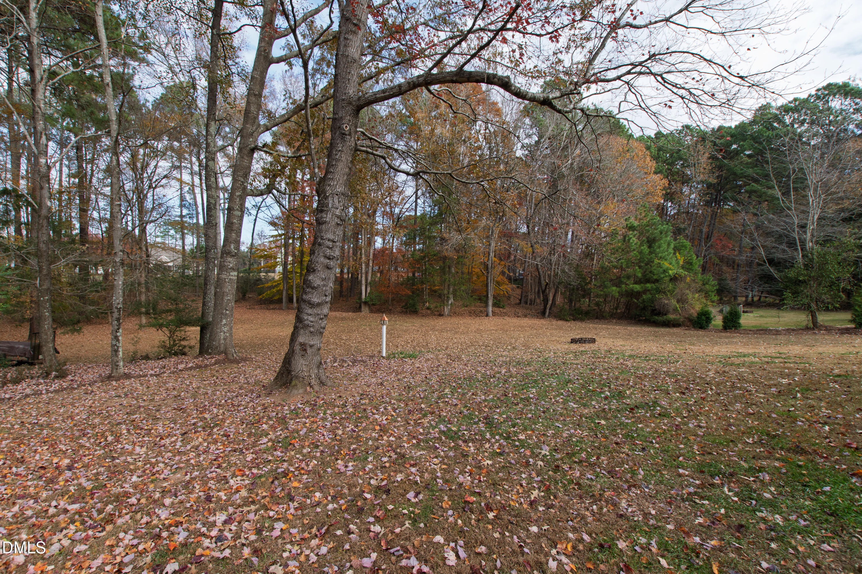 2405 Welsh Tavern Way Wake Forest, NC 27587 - Photo 55 of 58 a backyard of a house with lots of green space