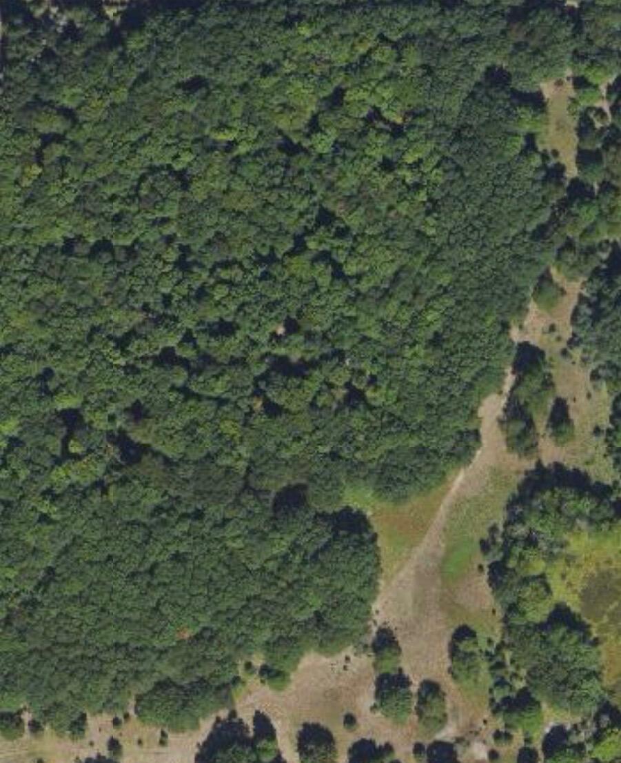 3601 Sass Road, Unit 35A Manistee, MI 49660 - Photo 1 of 1 onXHunt Aerial