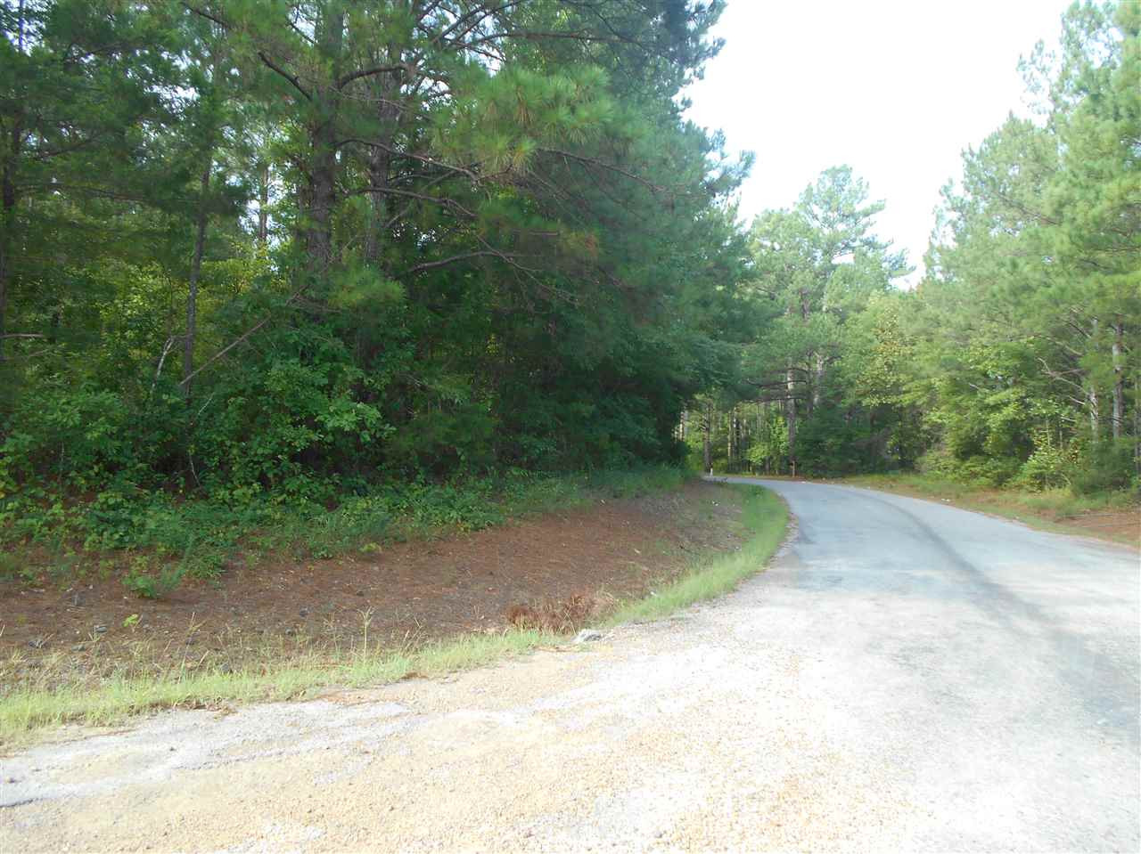 0 Miller Road Weir, MS 39772 - Photo 3 of 9 Photo 3